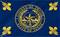 Travis County flag